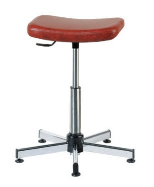 web shop MS 55 